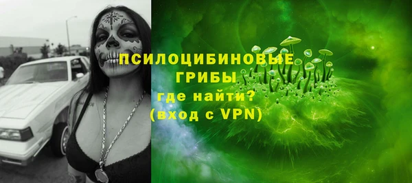 шишки Армянск