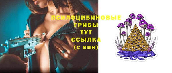 гашик Аркадак