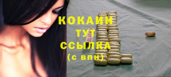 шишки Армянск