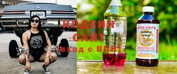 гашик Аркадак