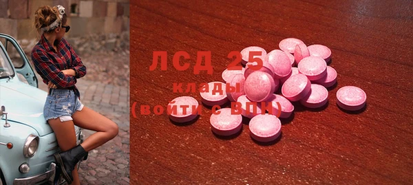 гашик Аркадак