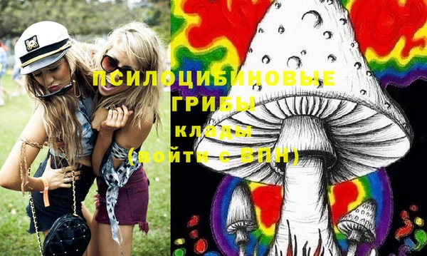 гашик Аркадак