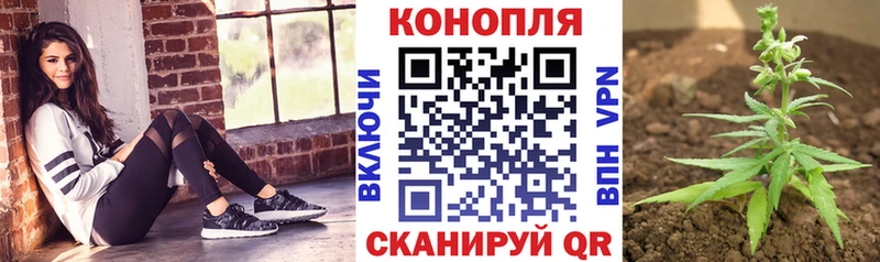 Шишки марихуана OG Kush  Артёмовск 